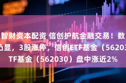 智财资本配资 信创护航金融交易！数据隐私重要性凸显，3股涨停，信创ETF基金（562030）盘中涨近2%