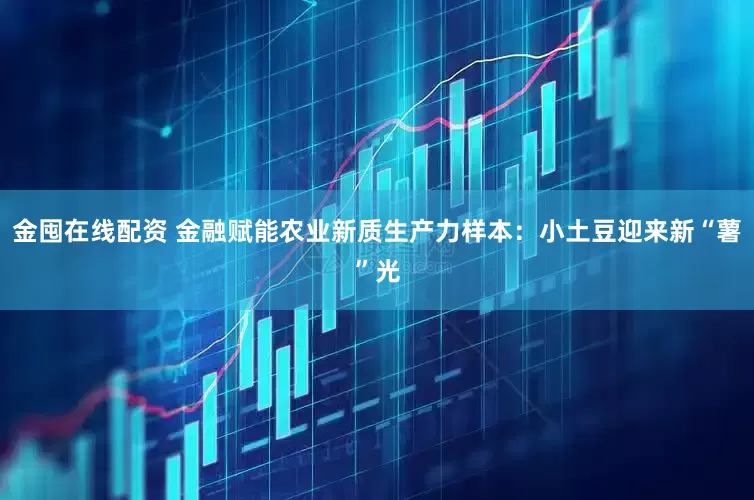 金囤在线配资 金融赋能农业新质生产力样本：小土豆迎来新“薯”光