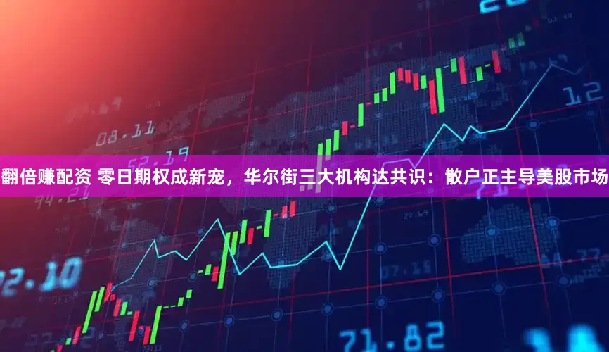 翻倍赚配资 零日期权成新宠，华尔街三大机构达共识：散户正主导美股市场