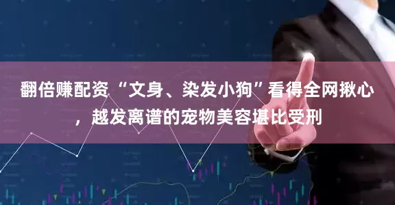 翻倍赚配资 “文身、染发小狗”看得全网揪心，越发离谱的宠物美容堪比受刑