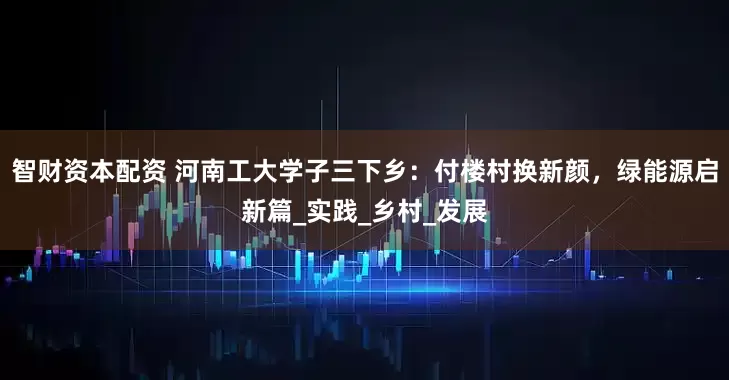 智财资本配资 河南工大学子三下乡：付楼村换新颜，绿能源启新篇_实践_乡村_发展